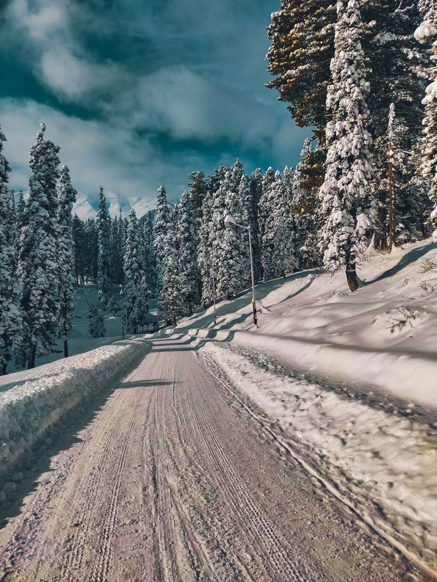 Gulmarg