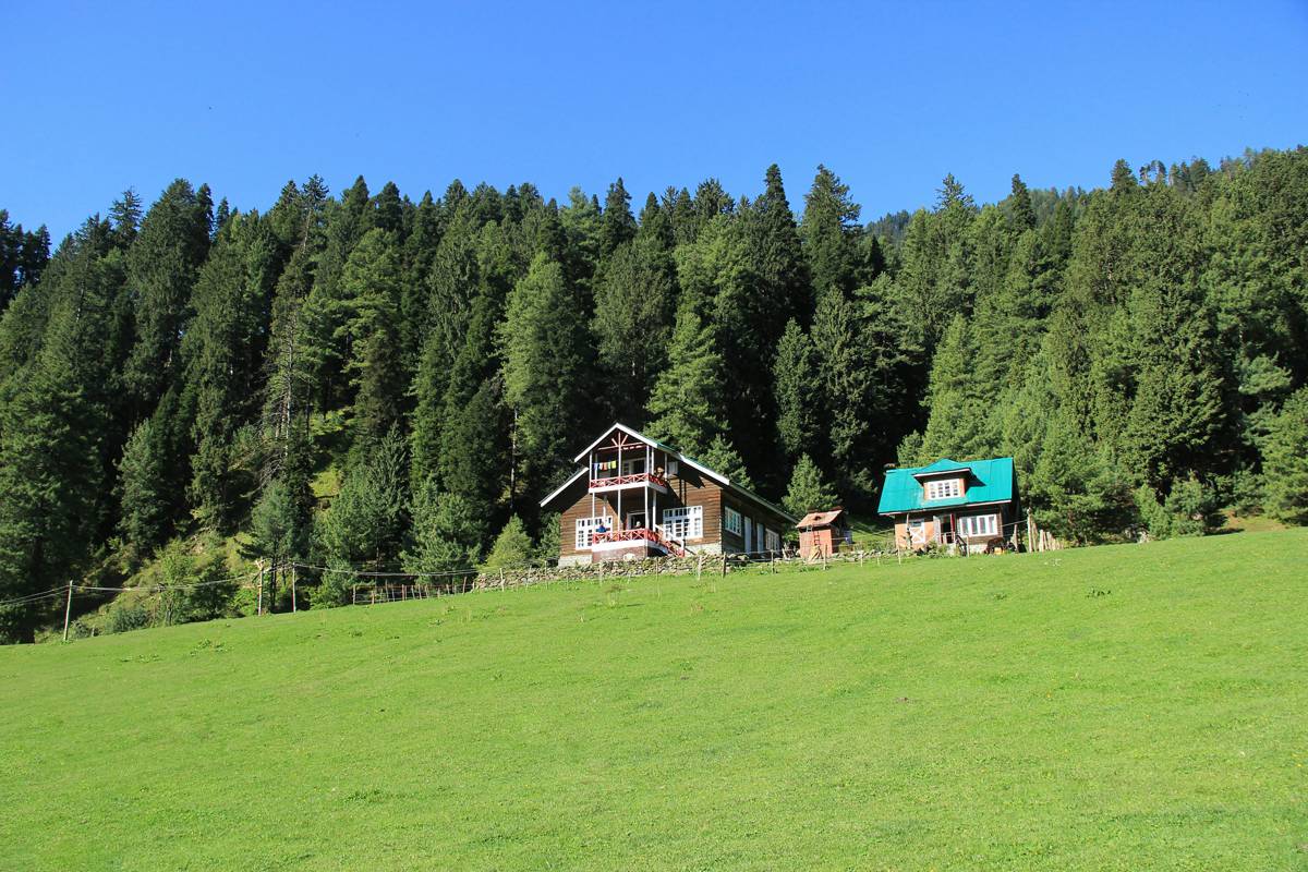 Family Kashmir